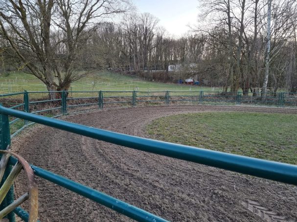 Roundpen 25m